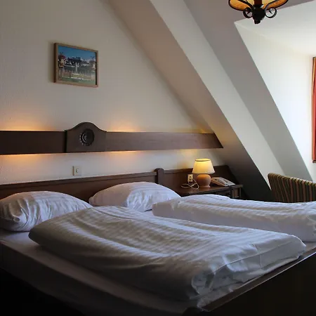 シェーネ アオズィヒト ザルツブルク