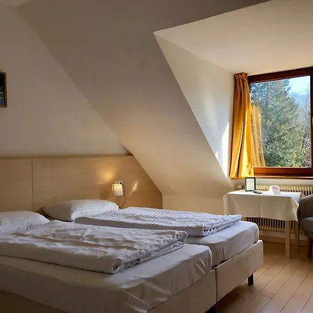 Schoene Aussicht Hotel 3*