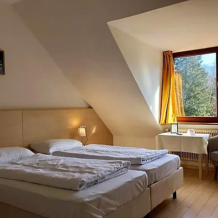 Schoene Aussicht Hotel 3*