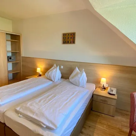 Hotel Schoene Aussicht 3*