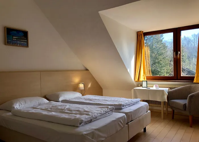 Schoene Aussicht Hotel 3*