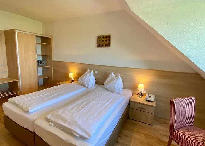 Hotel Schoene Aussicht 3*